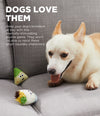 A happy dog playing with the soft, plush taco puzzle toys, showcasing their mental stimulation and play value.