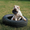 A playful puppy sitting in a real tire, happily chewing on a KONG Extreme Tire, showcasing its durability and engaging design for long-lasting entertainment.