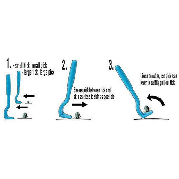 Using Atlantick Tick Pick: Step-by-step illustration demonstrating safe and secure tick removal with the tool, ensuring proper technique to reduce infection risk.