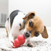Image of a dog happily chewing and playing with the Kong Classic, demonstrating its engaging design.