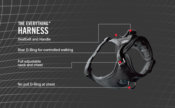 Canada Pooch - Everything Harness - Reflective