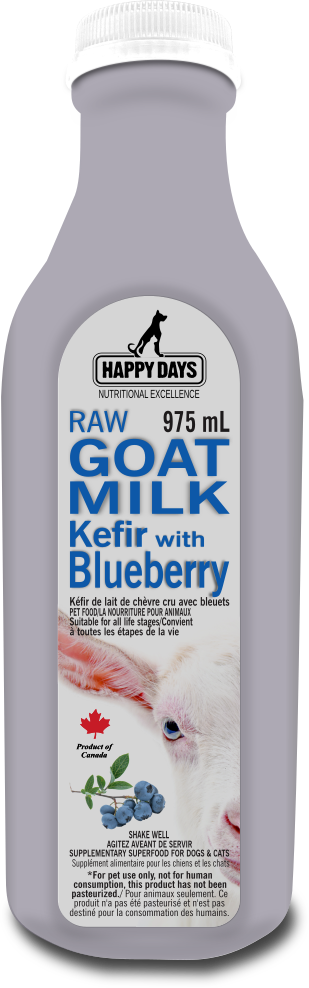 Happy Days Raw Goat Milk Kefir with Blueberries - Front view showcasing the product packaging.