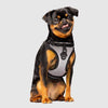Canada Pooch - Everything Harness - Reflective