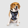 Canada Pooch - Everything Harness - Plaid