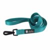 Hamilton - Reflective Nylon Leash