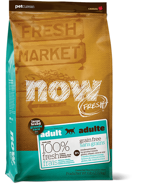 Now Fresh - Grain Free - Adult - Large Breed