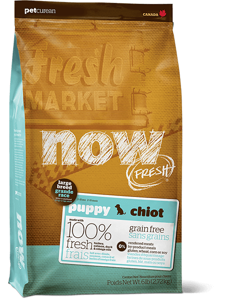Now Fresh - Grain Free - Puppy - Large Breed