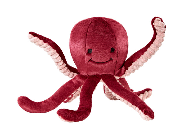 Fluff & Tuff - Olympia the Octopus