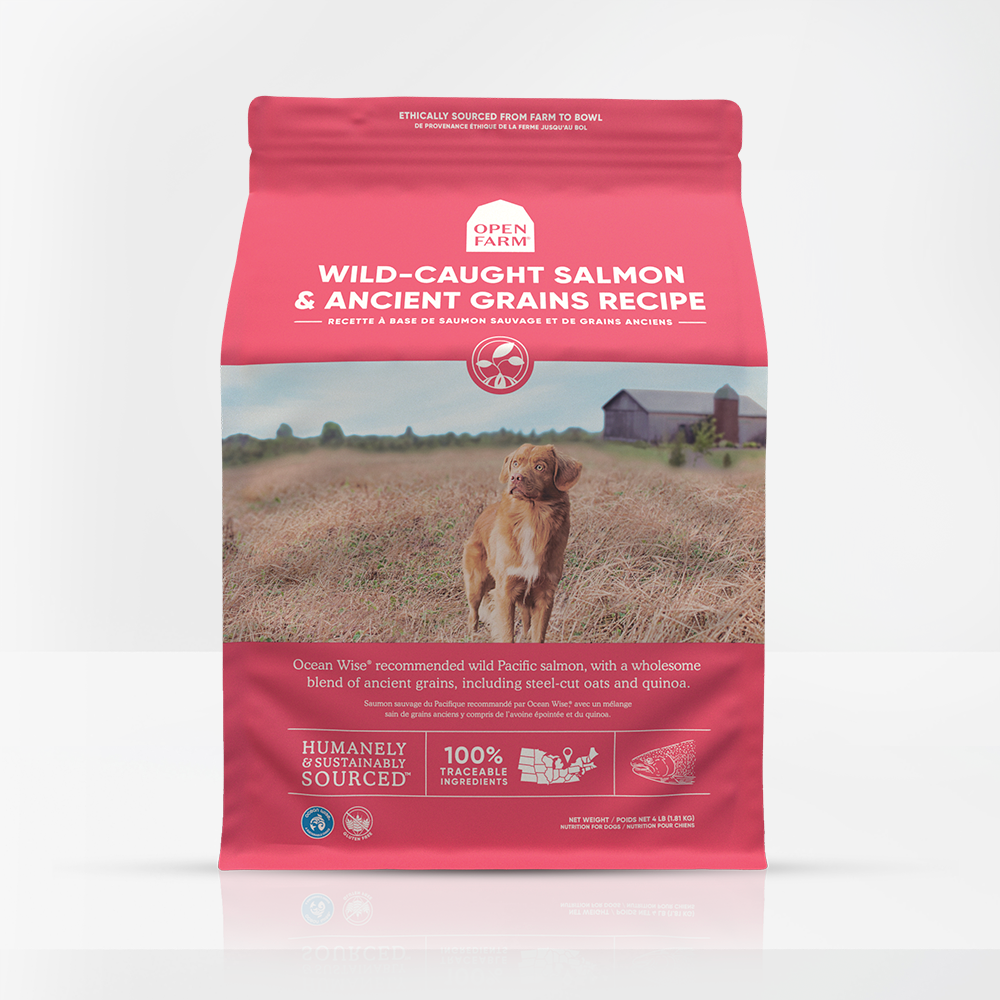 A clear image showcasing the front label of Open Farm Wild Caught Salmon & Ancient Grains Dry Dog Food, highlighting its key ingredients and features.