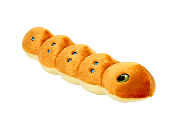 Fluff & Tuff - Spicy the Caterpillar