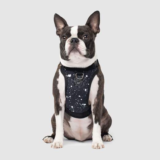 Canada Pooch - Everything Harness - Splatter