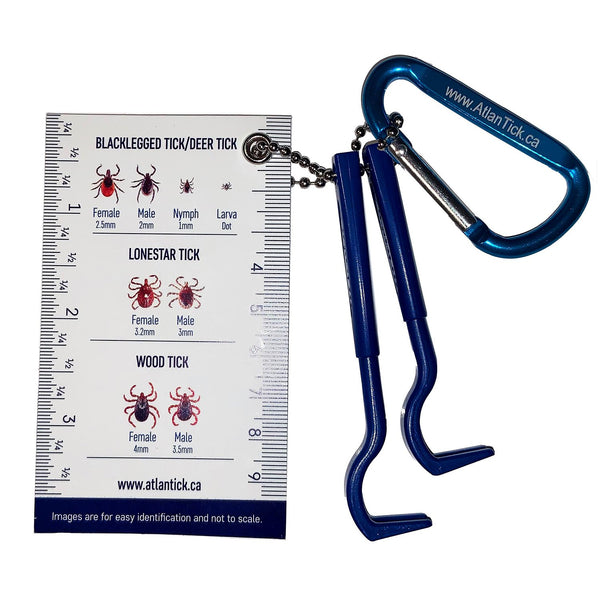 Atlantick Tick Pick: Image showing the two-size tick picks, essential tools for safe tick removal.Atlantick Tick Pick with an identification card displaying different types of ticks.