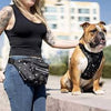 Canada Pooch - Everything Fanny Pack