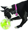 Planet Dog - Mazee