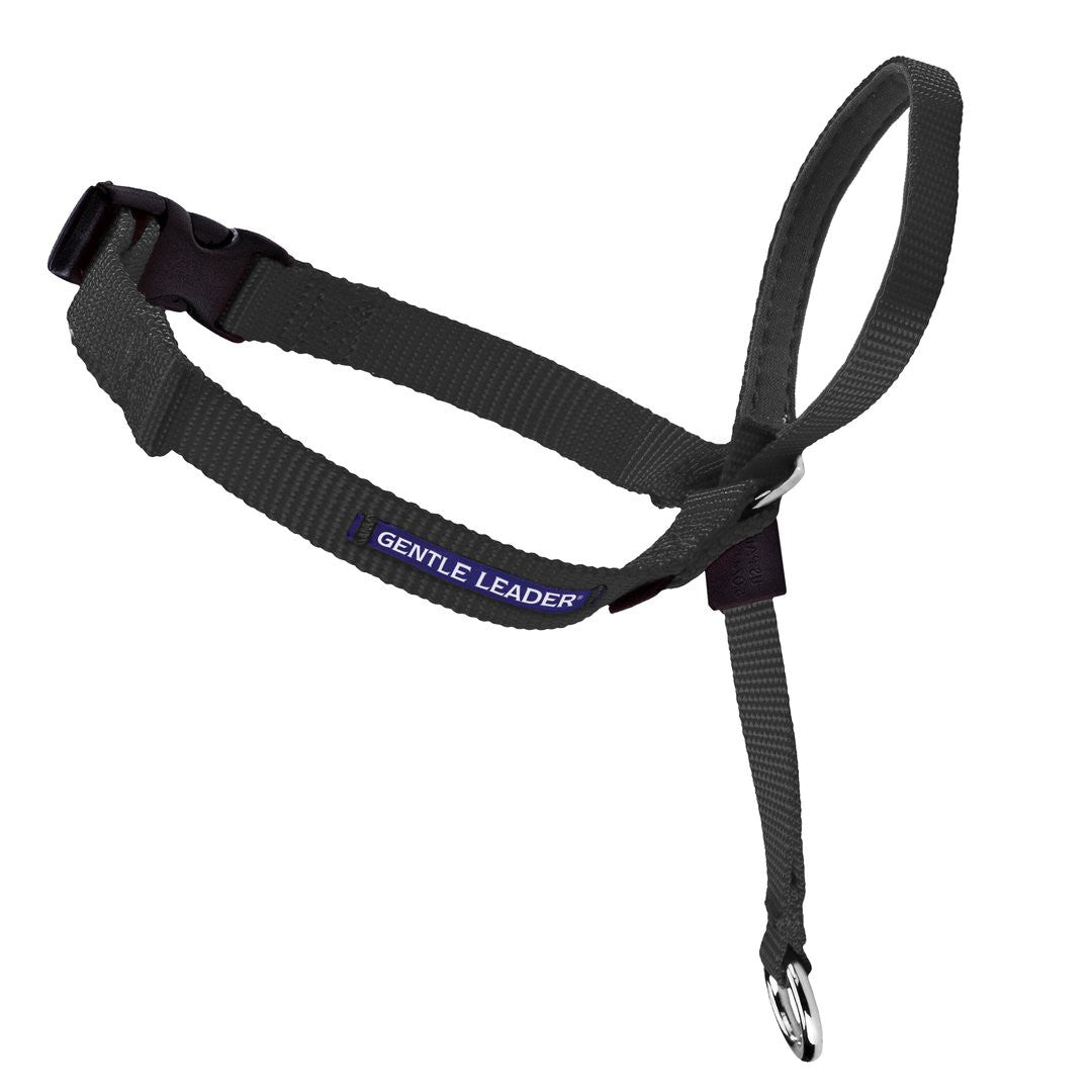 Gentle Leader Head Collar