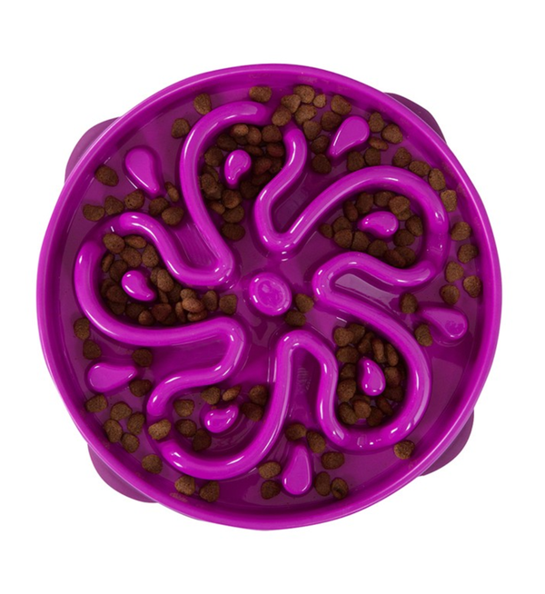 Outward Hound - Slow Feeder Puzzle Bowl - Purple