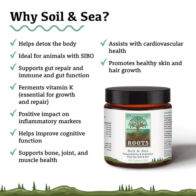 Adored Beast Primordial Pre & Probiotics Soil & Sea: A hand holding the supplement jar against a backdrop of rich soil and ocean waves. Showing the reasons why to choose Soil & Sea.