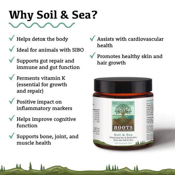 Adored Beast Primordial Pre & Probiotics Soil & Sea: A hand holding the supplement jar against a backdrop of rich soil and ocean waves. Showing the reasons why to choose Soil & Sea.