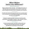 Adored Beast Primordial Pre & Probiotics Soil & Sea: A close-up of the supplement jar with vibrant soil and sea-inspired background. Showing what makes it different.