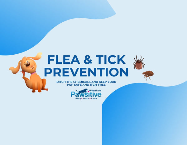 Ditch the Chemicals: Natural Flea & Tick Prevention for Outdoor Dogs