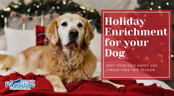 Holiday Enrichment for your dog: Helping keep your dog happy and stress-free this holiday season.