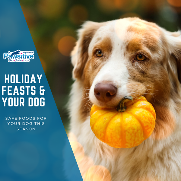 Holiday Feasts & Furry Friends: Safe Foods for Your Dog This Season