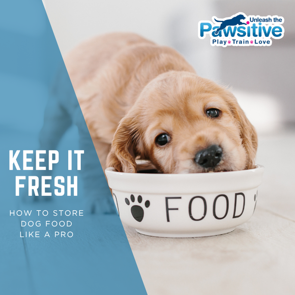 Keep it Fresh - How to Store Your Dog’s Food Like a Pro