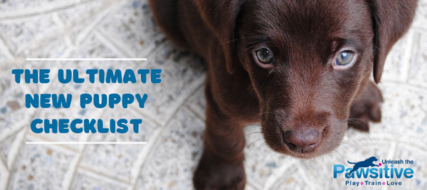 The Ultimate New Puppy Checklist