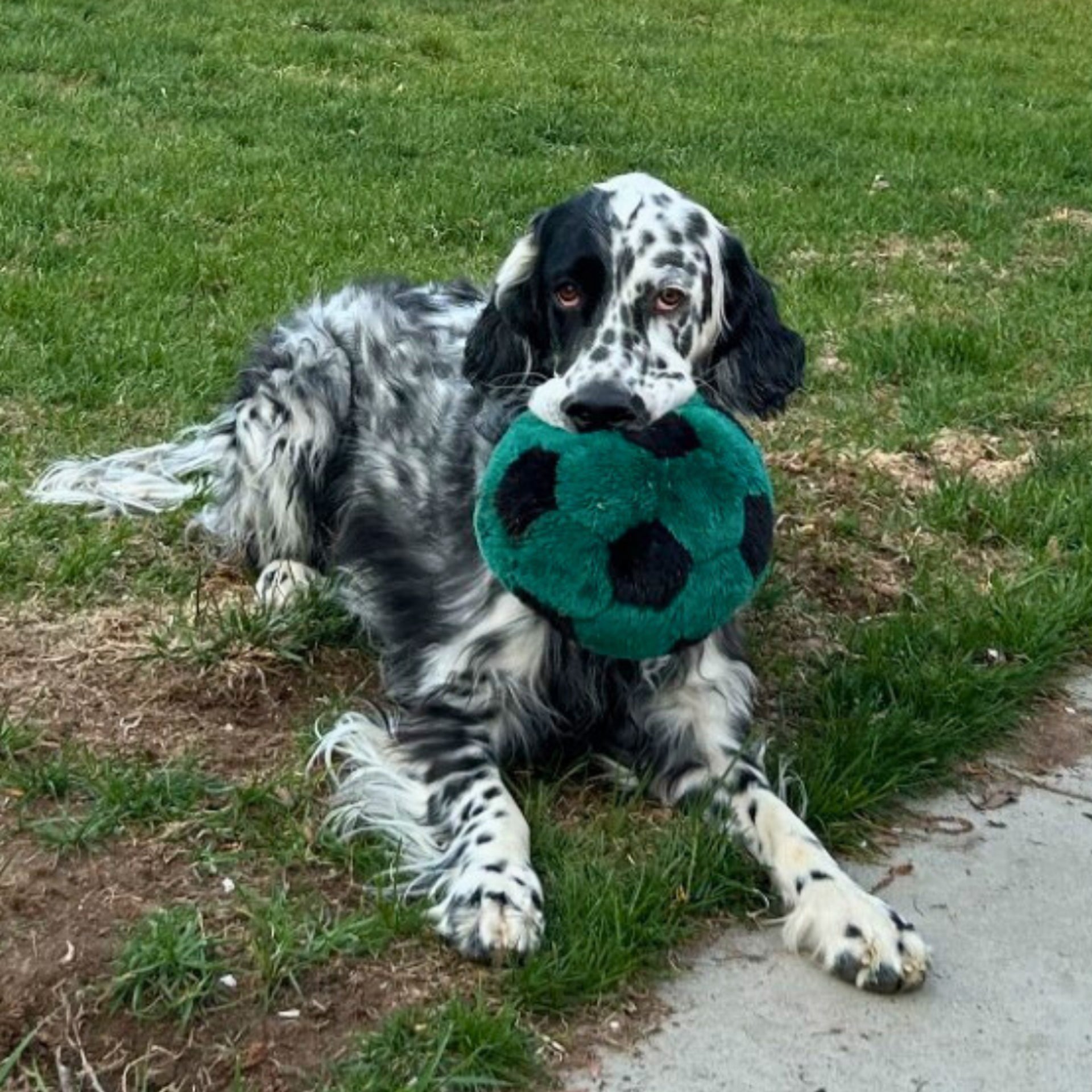 Fluff & Tuff - Soccer Ball