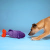 Dog focused on Fluff & Tuff Cici Tropical Fish plush toy on the ground, showcasing engaging colours and interactive design that stimulates play, mental engagement, and snuggling.
