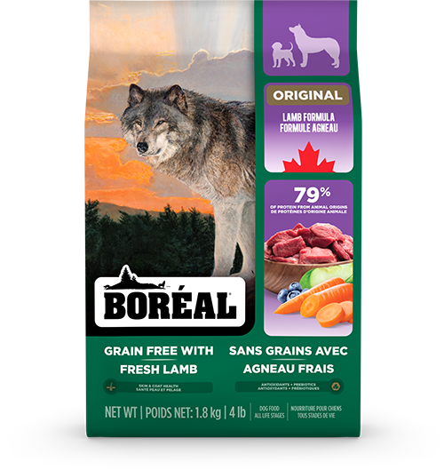 Bag of Boréal Original Lamb grain-free dog food featuring fresh Australian lamb, high animal protein, low-glycemic formulation, and advanced bioavailable minerals that support muscle strength, joint health, immune function, and a healthy coat.