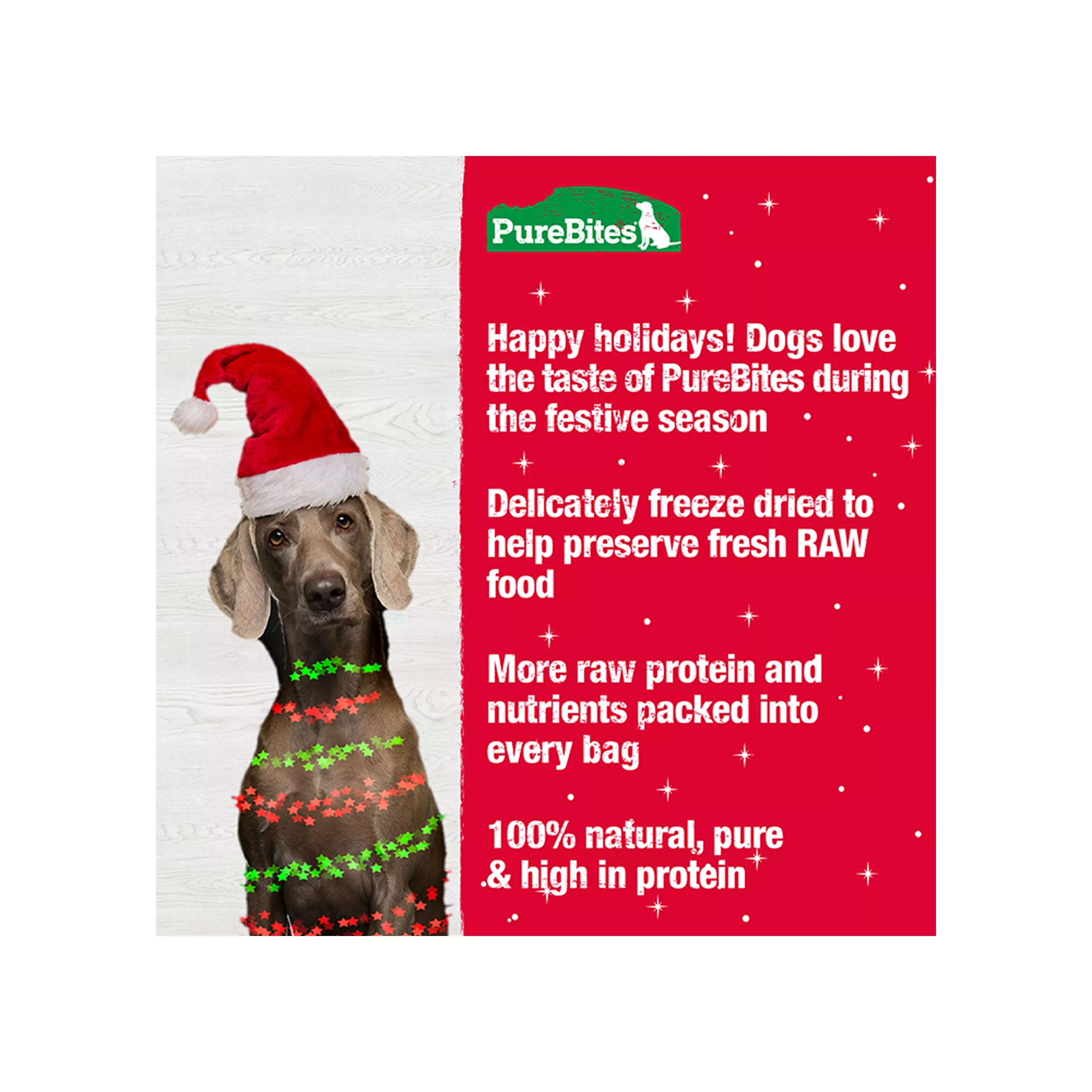 Adorable dog wearing a Santa hat sitting beside PureBites Holiday Turkey & Sweet Potato Treats; highlights benefits such as being made with just two simple ingredients, high in protein, low in calories, and the perfect festive reward for healthy dogs.