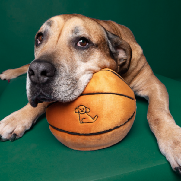 Dog resting its head on the large Fluff & Tuff Basketball plush toy, showing the toy's comforting size and softness for snuggling after play.