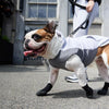 Goo-Eez -  Lites All Season Dog Boots