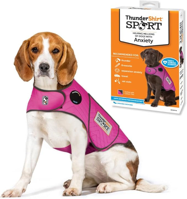 Image of a dog wearing the vibrant Fuchsia ThunderShirt with product packaging shown, demonstrating stylish anxiety relief using gentle, consistent pressure.