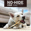 Earth Animal - No-Hide Dog Strips - Pack of 4