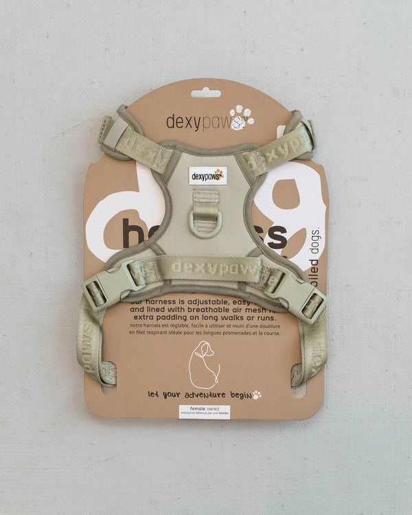 Dexypaws Sage Green No Pull Dog Harness displayed in retail packaging featuring breathable mesh padding, adjustable straps, front and back leash attachment points, reflective trim, and durable construction for comfortable everyday walks.