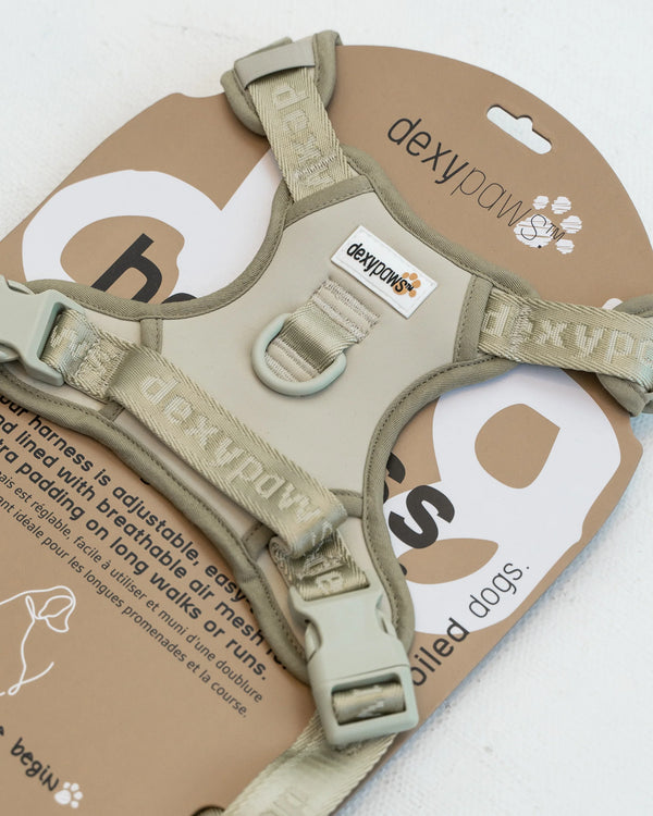 Close-up of the DexyPaws Sage Green dog harness inside packaging highlighting premium hardware, breathable air mesh lining, reflective safety details, adjustable webbing, and durable no-pull construction.