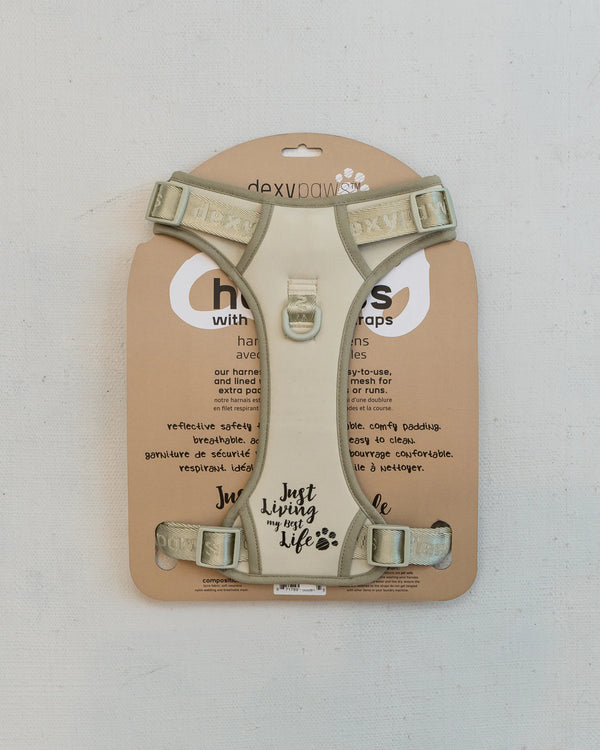 Back view of the DexyPaws Sage Green No Pull Harness showing the reinforced top handle, rear leash attachment, adjustable body straps, breathable mesh backing, and reflective trim for safe nighttime walks