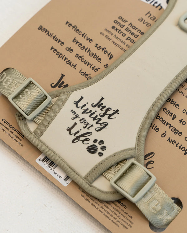 Close-up of the "Living My Best Life" quote embroidered on the front chest of the DexyPaws Sage Green harness, highlighting its playful personality and comfortable padded chest panel.