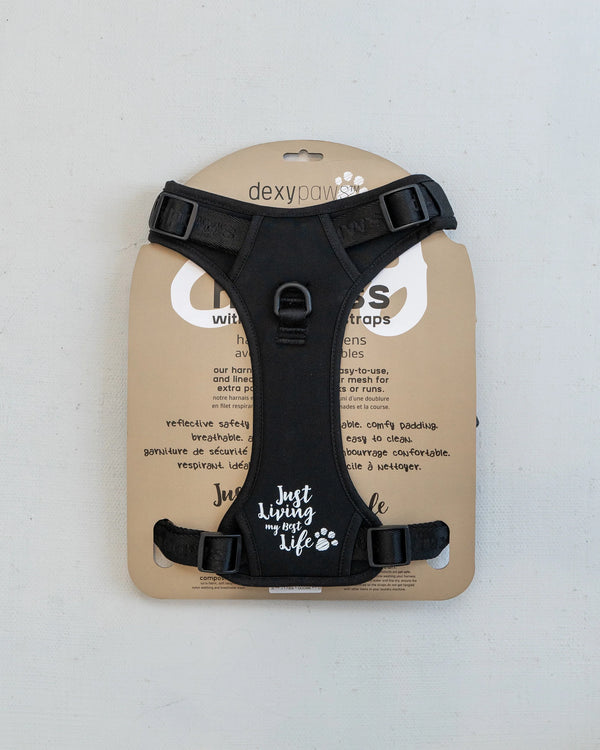 Back view of the DexyPaws no pull dog harness in packaging displaying adjustable body straps, rear leash attachment point, sturdy control handle, breathable mesh lining.