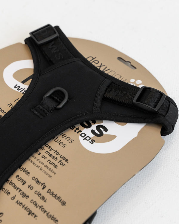Detailed close-up of the DexyPaws no pull dog harness showing the reinforced front leash attachment point designed to provide better leash control and help reduce pulling during walks and training.