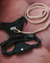 DexyPaws no pull dog harness displayed on a couch with a leash attached, showcasing dual leash attachment points, adjustable straps, breathable mesh padding, and ergonomic design for safer, more comfortable walks.