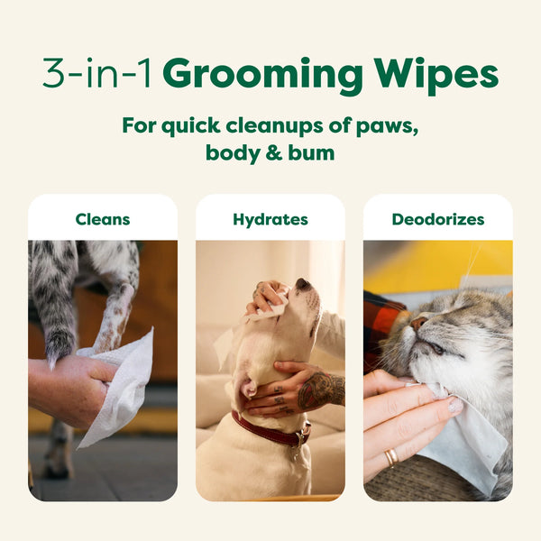 Image showing Earth Rated Grooming Wipes being used on a dog’s paws, bum, and body, demonstrating their all-purpose 3-in-1 cleaning benefits for pet hygiene.