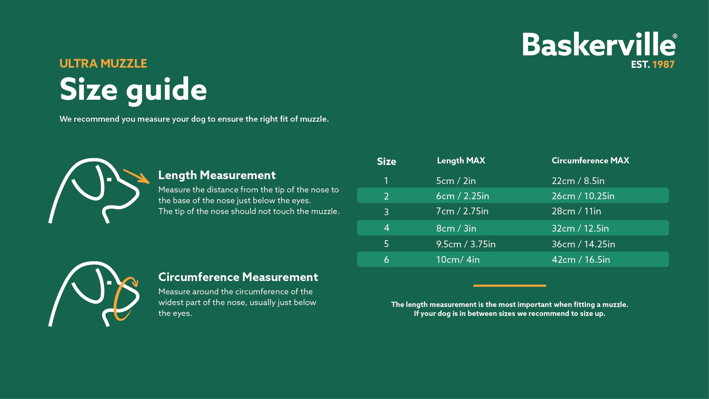 Baskerville Muzzle: Illustration demonstrating the size guide for proper fitting and comfort.