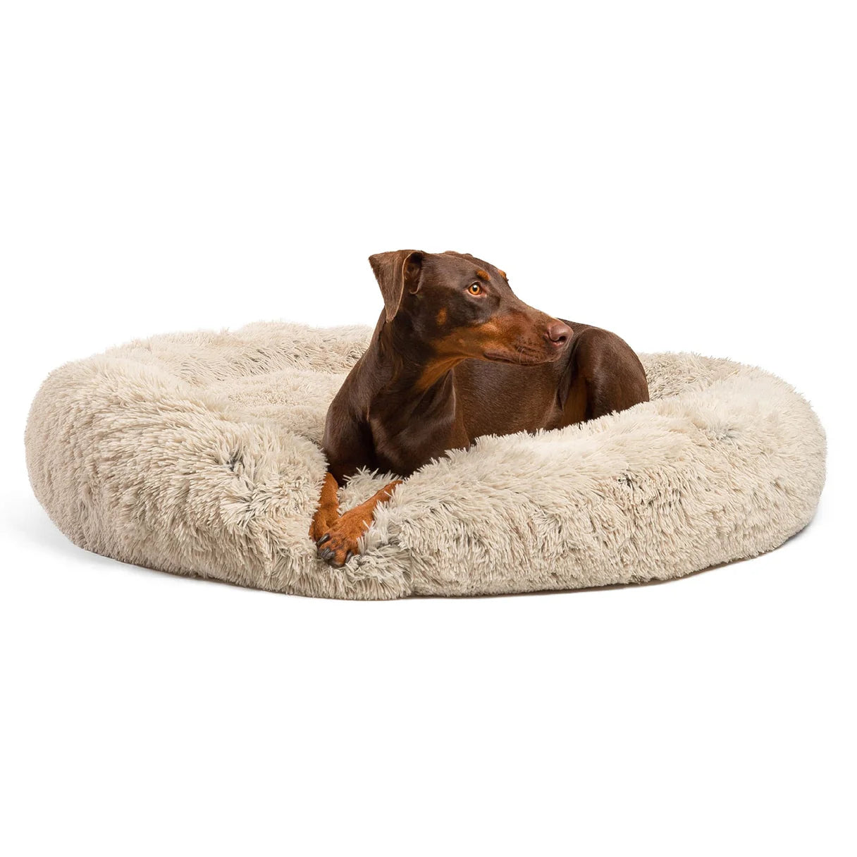 The Best Friends by Sheri Calming Donut Dog Bed in a warm Taupe color, complementing any room décor.