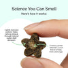 Macro close-up of a Fresh Bites Spearmint treat revealing its lightly textured oyster shell exterior that scrubs plaque and creamy kelp, mint, and sage center that releases cooling fresh breath