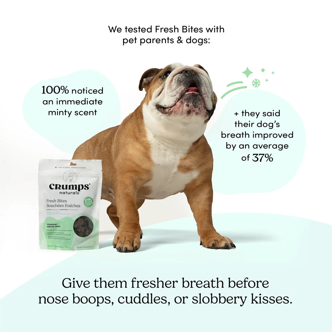 Happy bulldog after enjoying Fresh Bites – in testing 100% of pet parents noticed an immediate minty scent and reported their dog's breath improved by an average of 37%