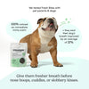 Happy bulldog after enjoying Fresh Bites – in testing 100% of pet parents noticed an immediate minty scent and reported their dog's breath improved by an average of 37%