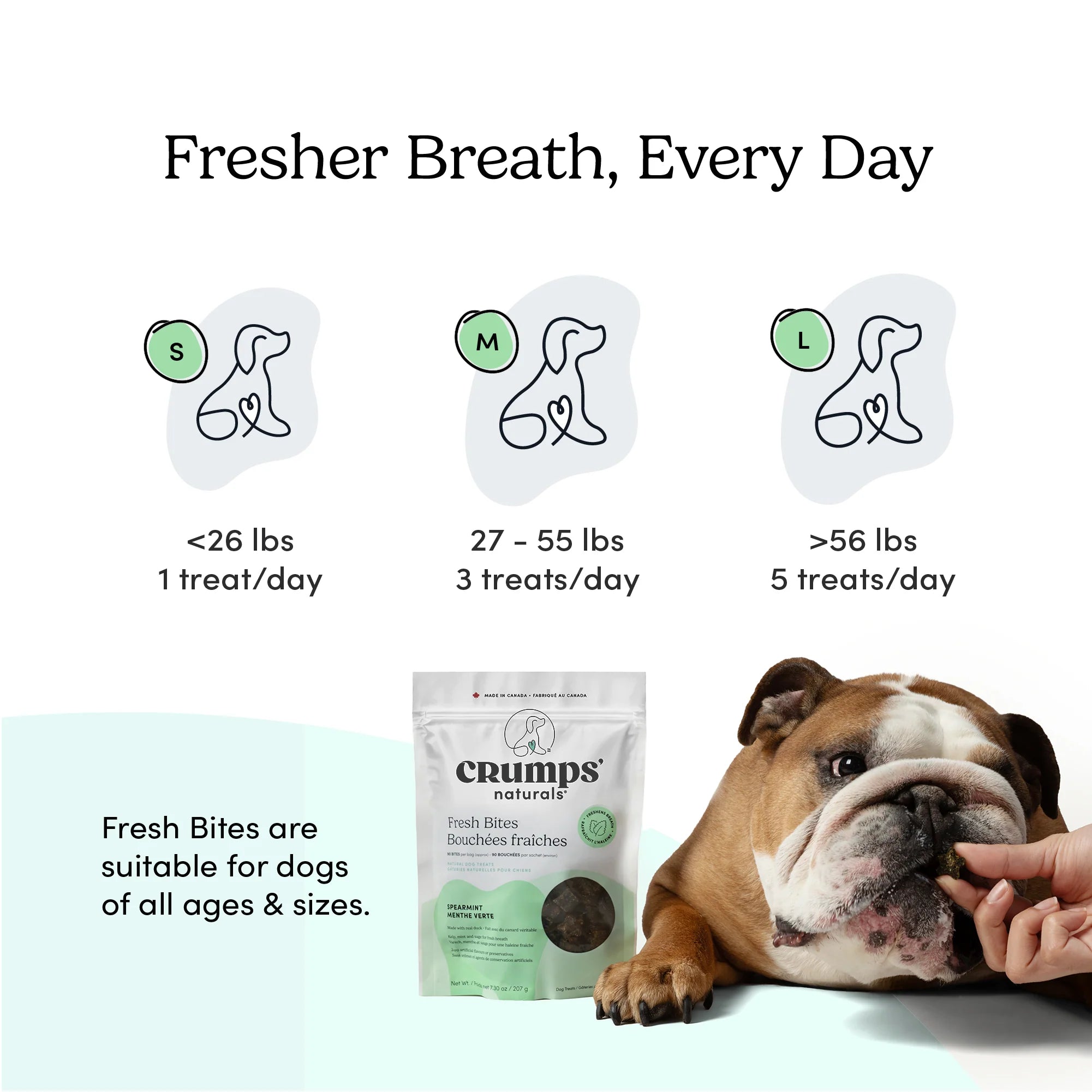 Feeding chart for Crumps Naturals Fresh Bites showing the recommended number of breath freshening treats per day based on your dog's body weight, from small to large breeds